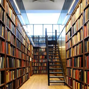 Библиотеки Украинки